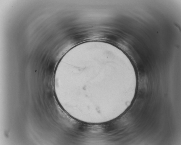 X0000102251338200808011302