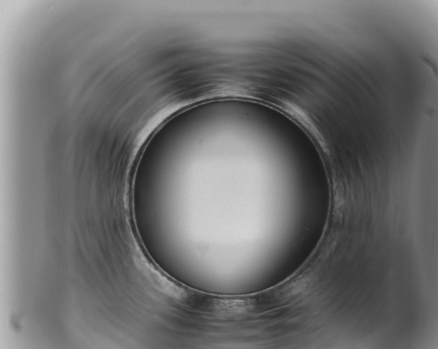 X0000102251339200808011302