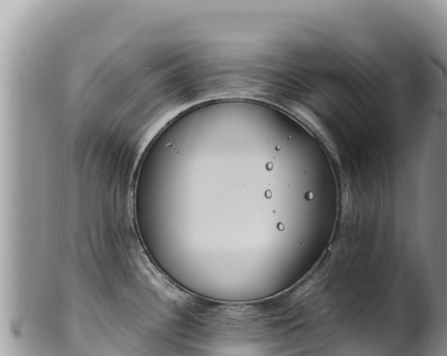 X0000102251340200808011302