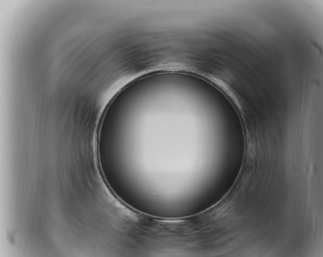 X0000102251343200808011302