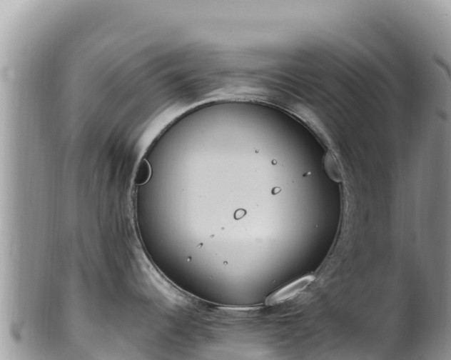 X0000102251344200808011302