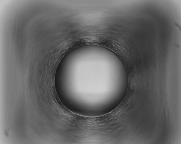 X0000102251345200808011301