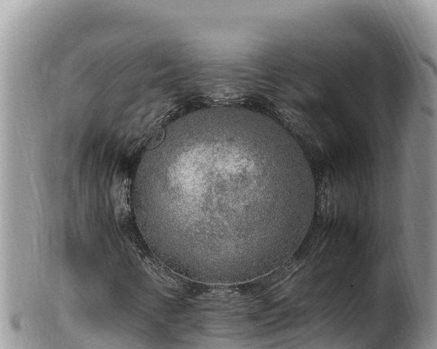 X0000102251346200808011301