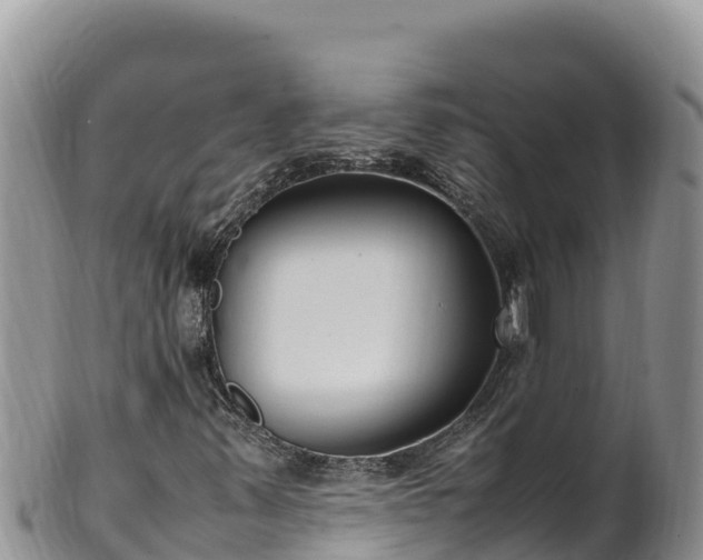 X0000102251347200808011301