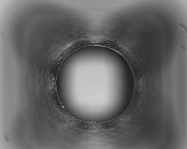 X0000102251349200808011301