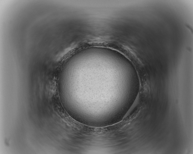 X0000102251350200808011301