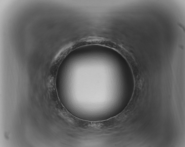 X0000102251351200808011301