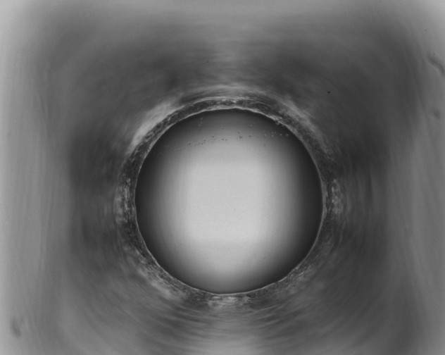 X0000102251352200808011301