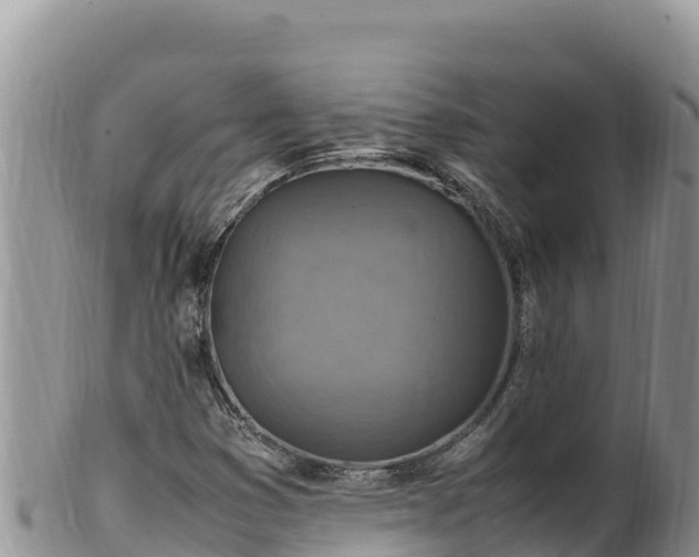 X0000102251353200808011301