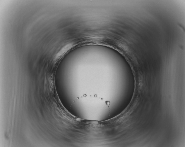 X0000102251354200808011301