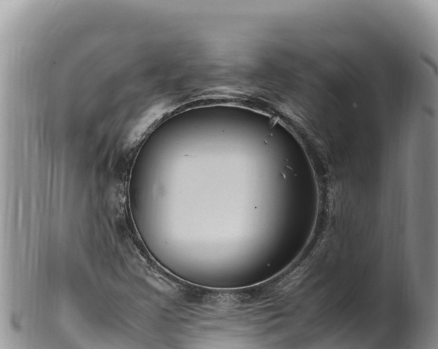 X0000102251355200808011301