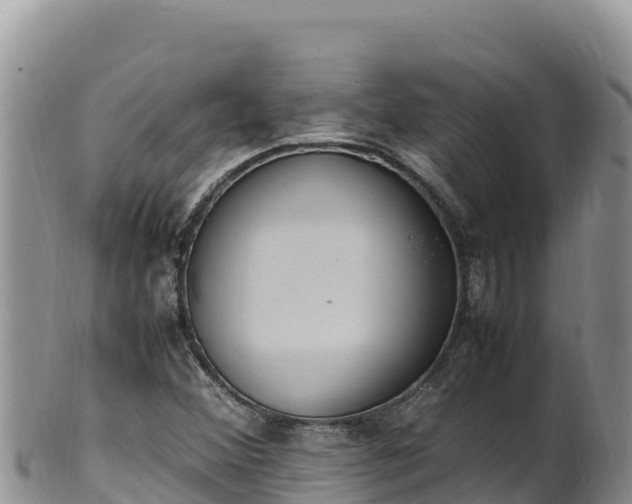 X0000102251356200808011301