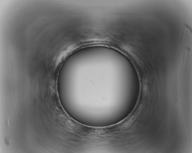 X0000102251357200808011301