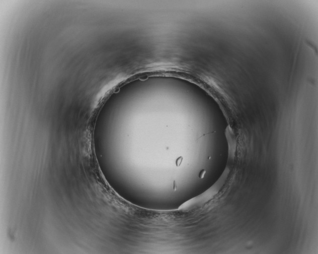 X0000102251358200808011301