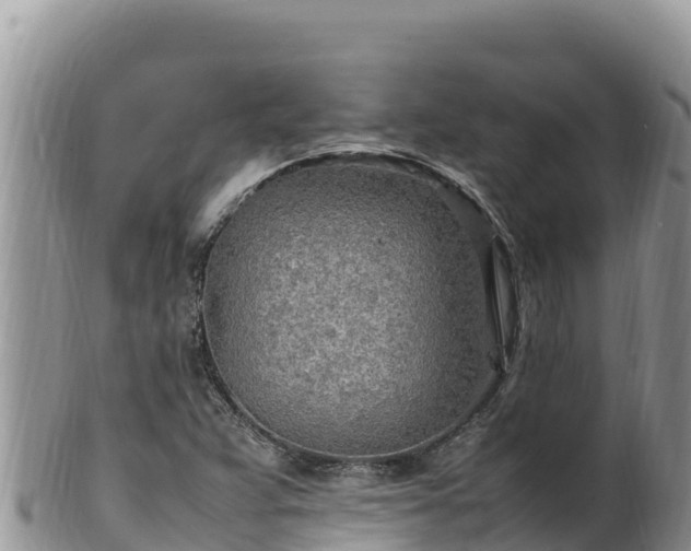 X0000102251359200808011301