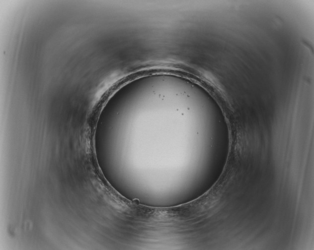 X0000102251360200808011301