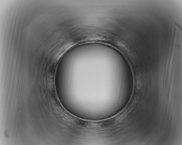 X0000102251361200808011301