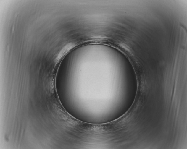 X0000102251362200808011301