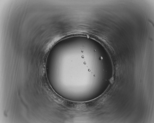 X0000102251363200808011301