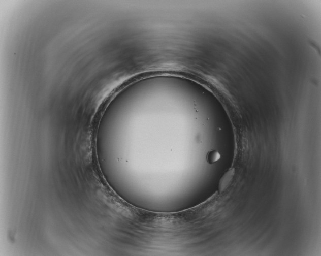 X0000102251364200808011301