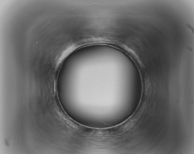 X0000102251365200808011301