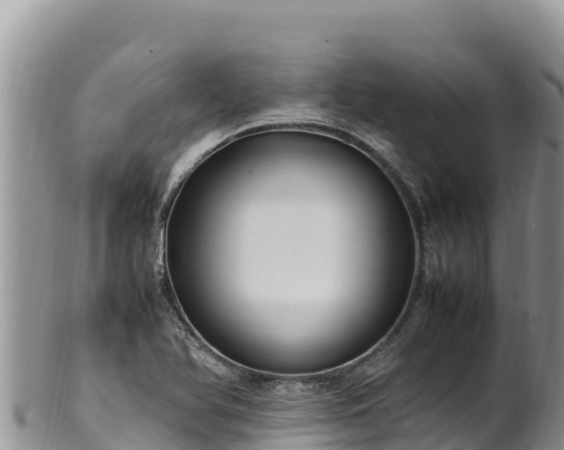 X0000102251366200808011301