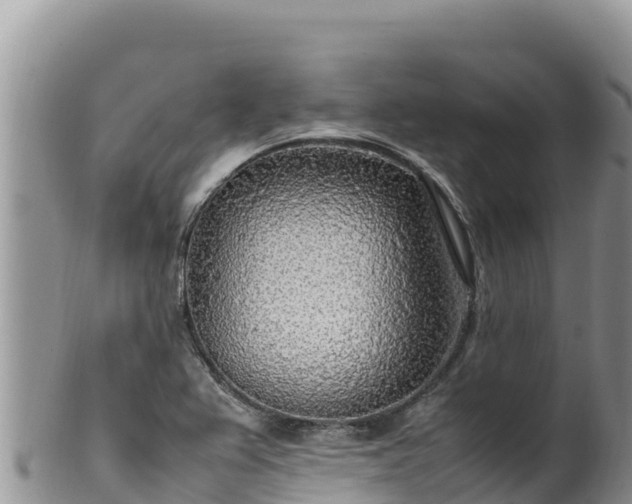 X0000102251367200808011301