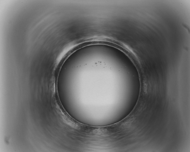 X0000102251368200808011301