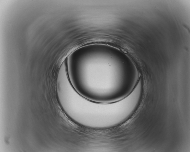 X0000102251369200808011301