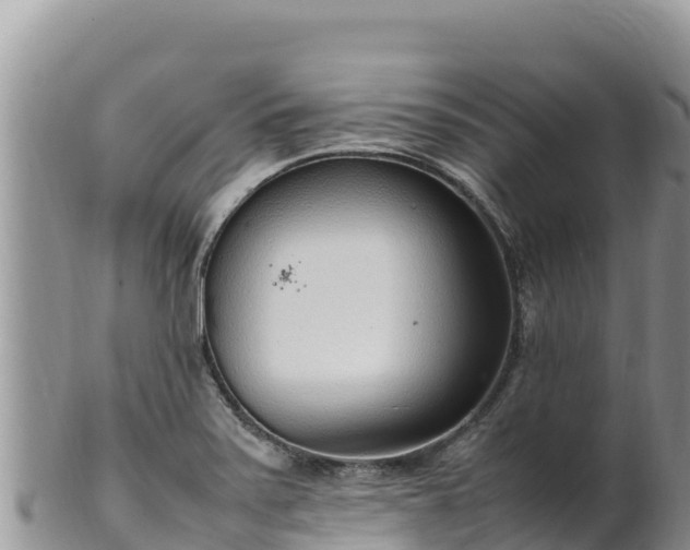 X0000102251371200808011301