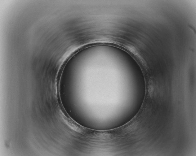 X0000102251372200808011301