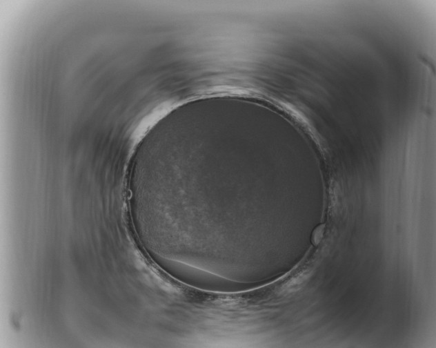 X0000102251373200808011301