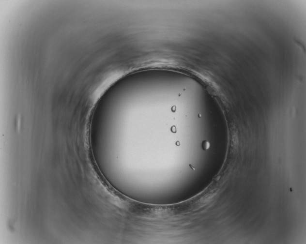 X0000102251375200808011301