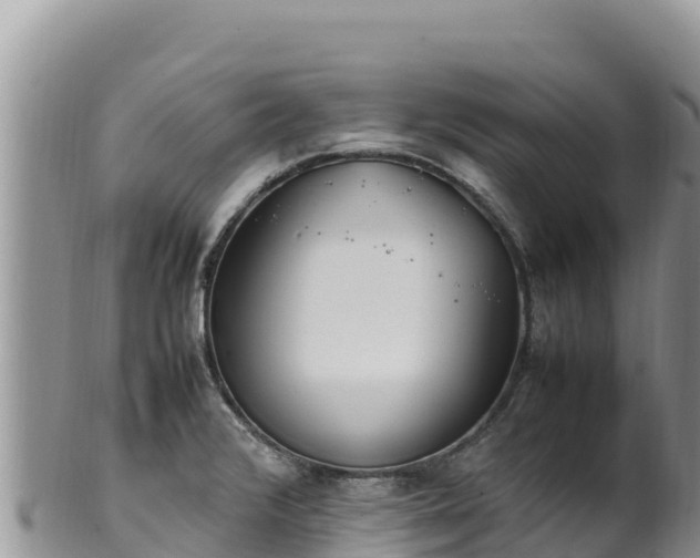 X0000102251376200808011301