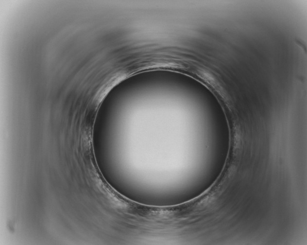 X0000102251377200808011301