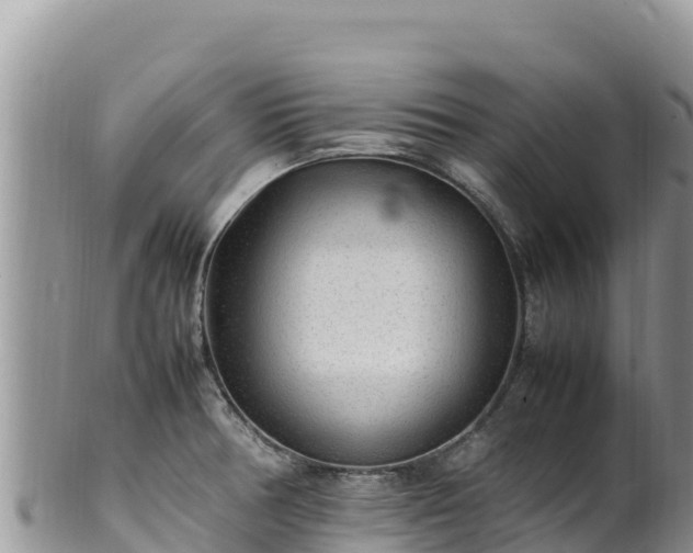 X0000102251378200808011301