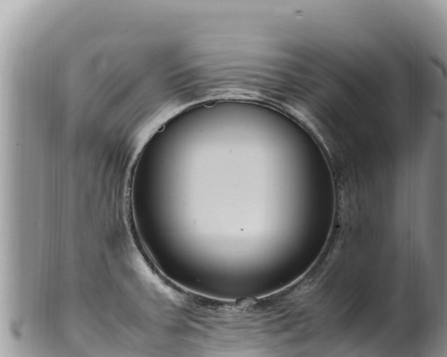 X0000102251379200808011301