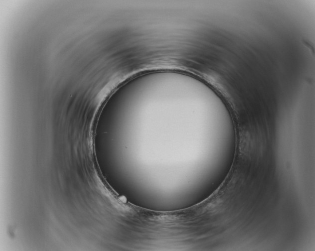 X0000102251380200808011301