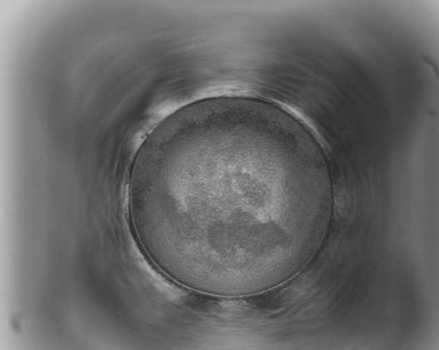 X0000102251383200808011301