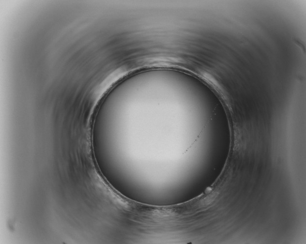 X0000102251384200808011300