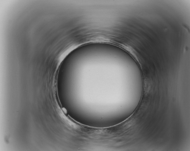 X0000102251387200808011300