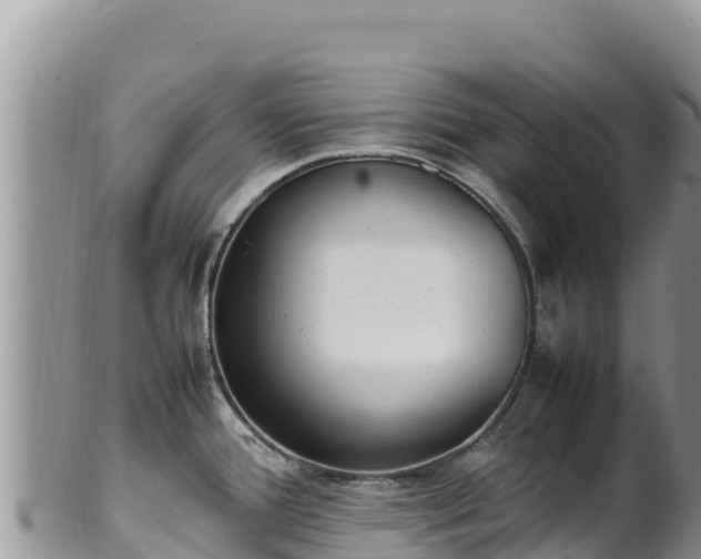 X0000102251388200808011300