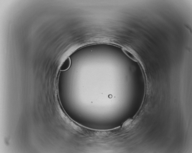 X0000102251389200808011300