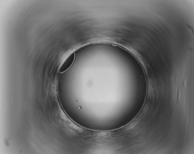 X0000102251390200808011300