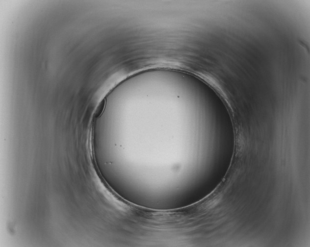 X0000102251391200808011300