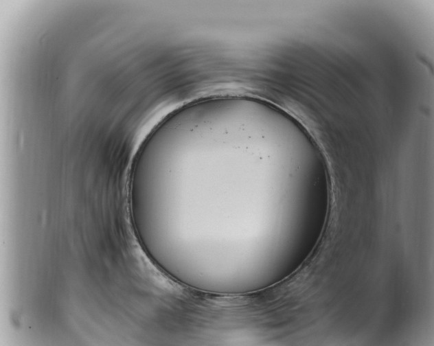 X0000102251392200808011300