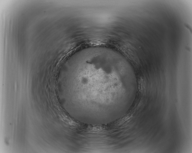 X0000102251393200808011300