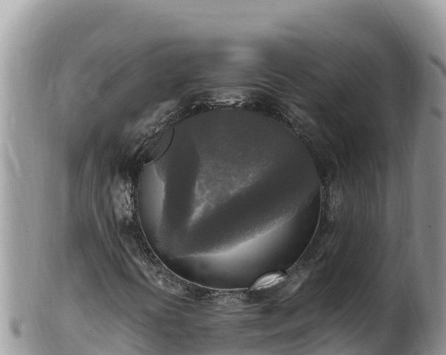 X0000102251394200808011300