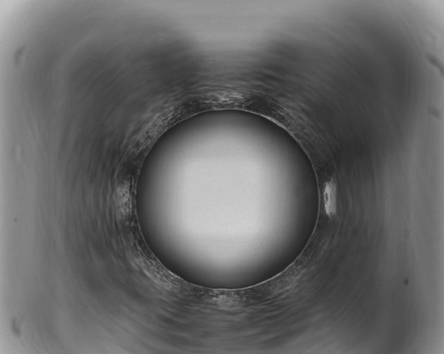 X0000102251395200808011300