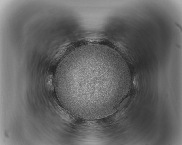 X0000102251396200808011300